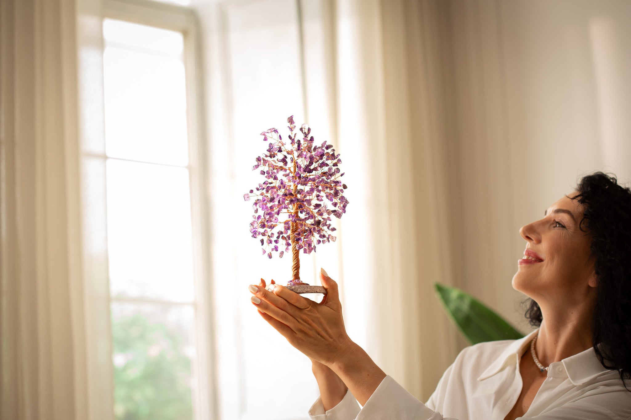 Où Placer un Arbre de Vie : Optimiser le Feng Shui de Votre Maison