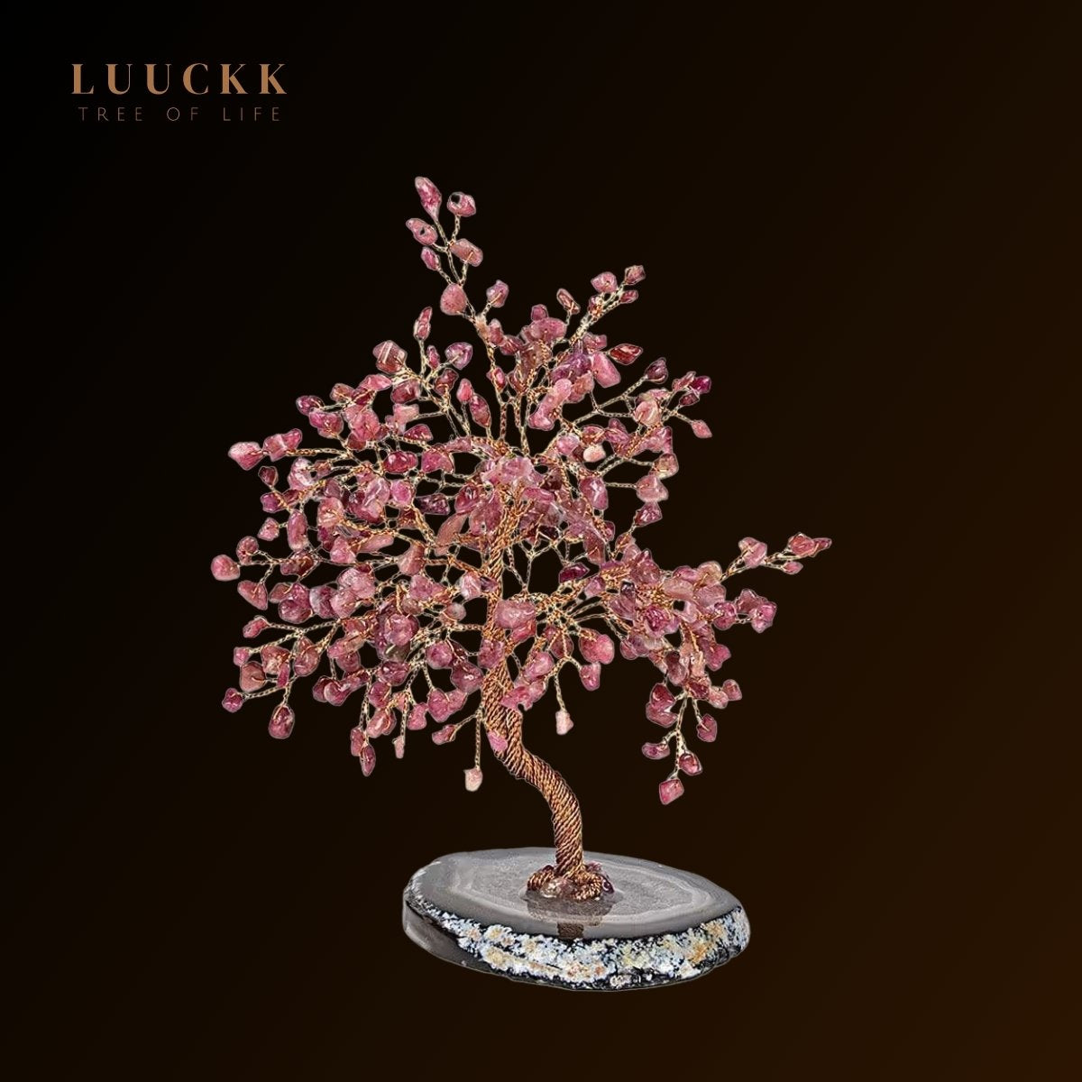 Ascension - Arbre de vie Tourmaline et base Agate