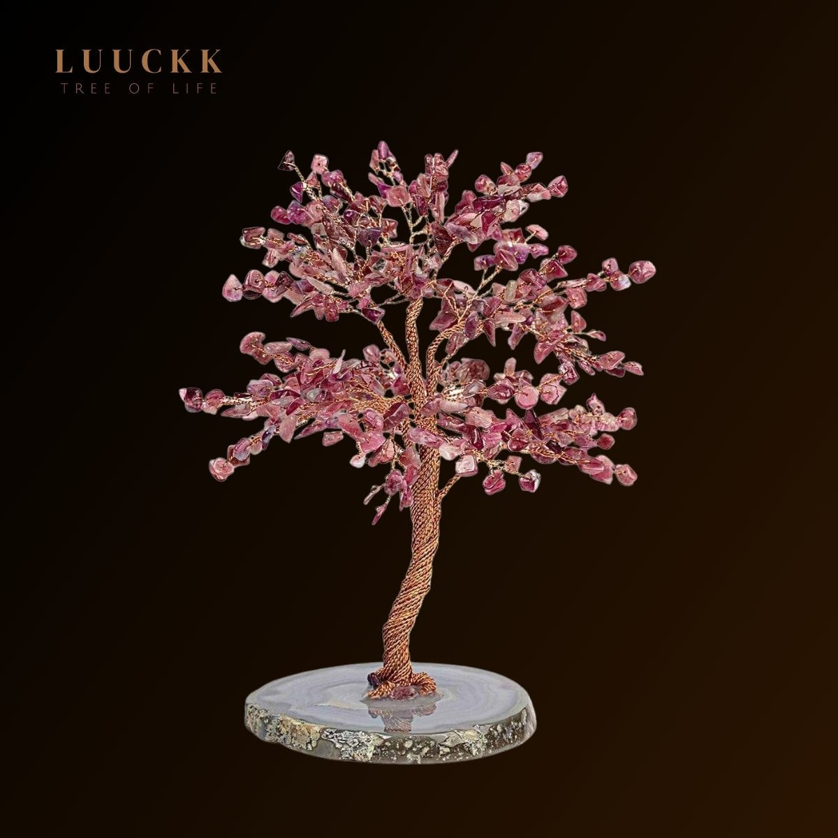 Ascension - Arbre de vie Tourmaline et base Agate