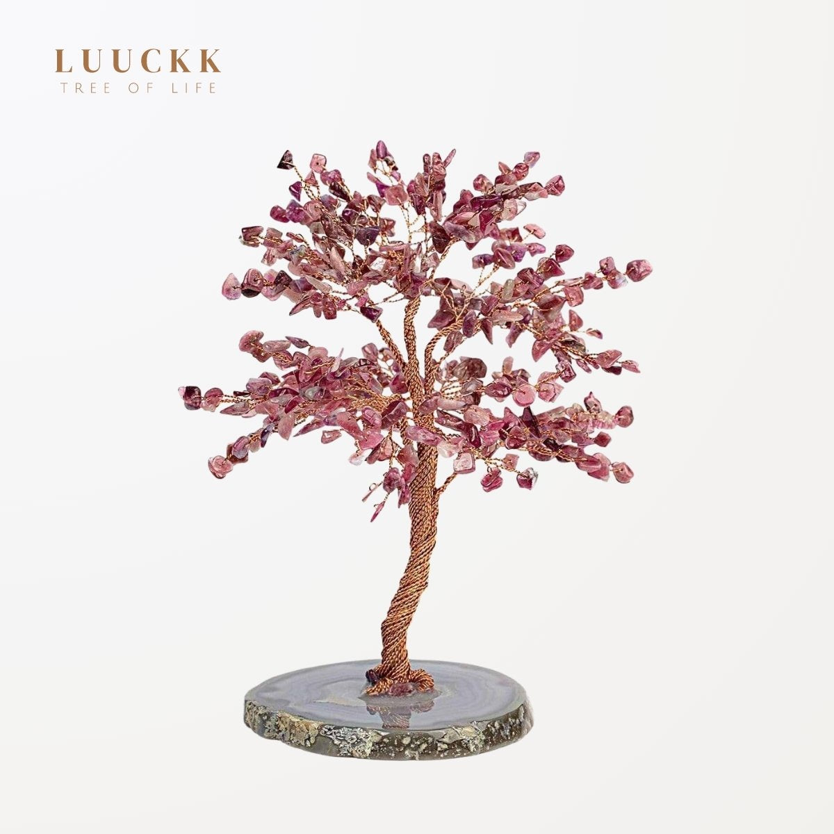 Ascension - Arbre de vie Tourmaline et base Agate