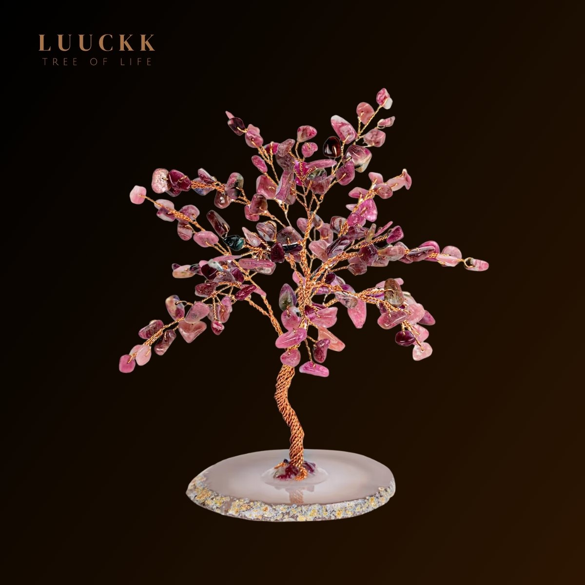 Ascension - Arbre de vie Tourmaline et base Agate