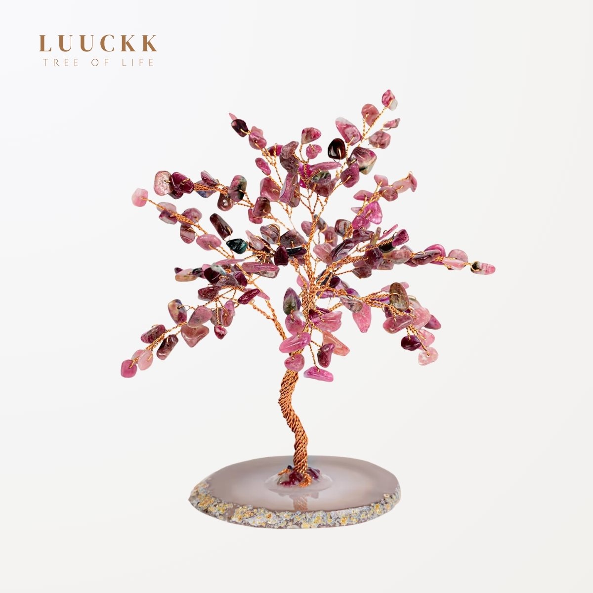 Ascension - Arbre de vie Tourmaline et base Agate