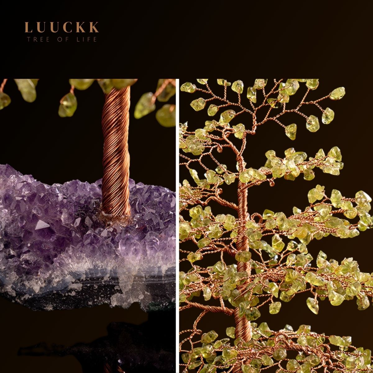 Symbiose - Tree of Life in Peridot with Amethyst Geode