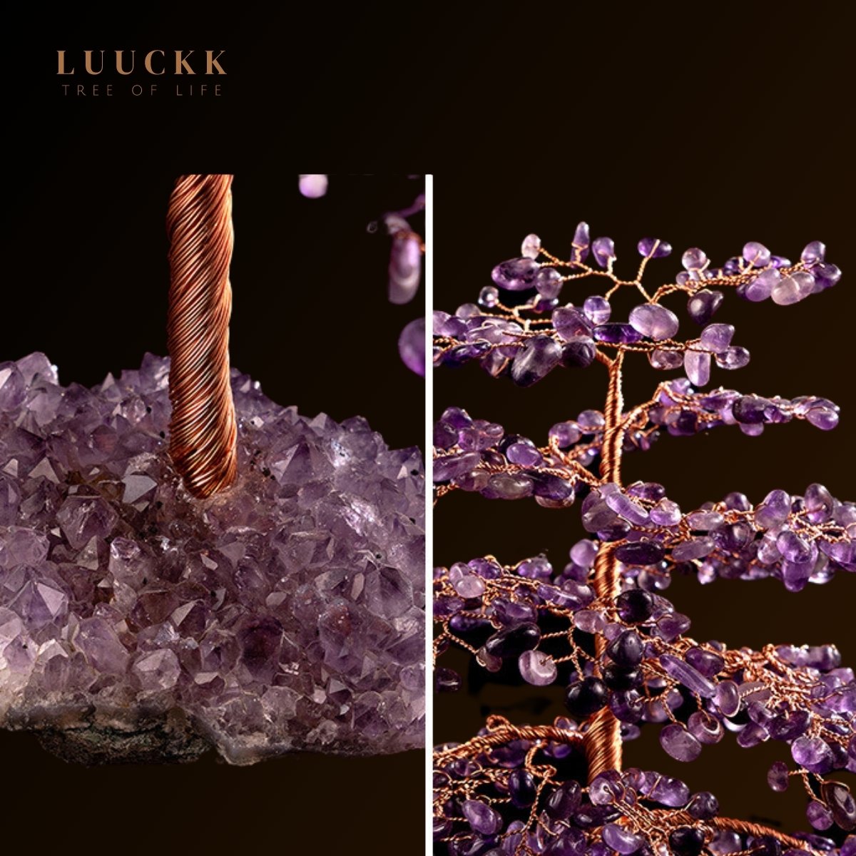 Symbiose - Amethyst Tree of Life with Amethyst Geode