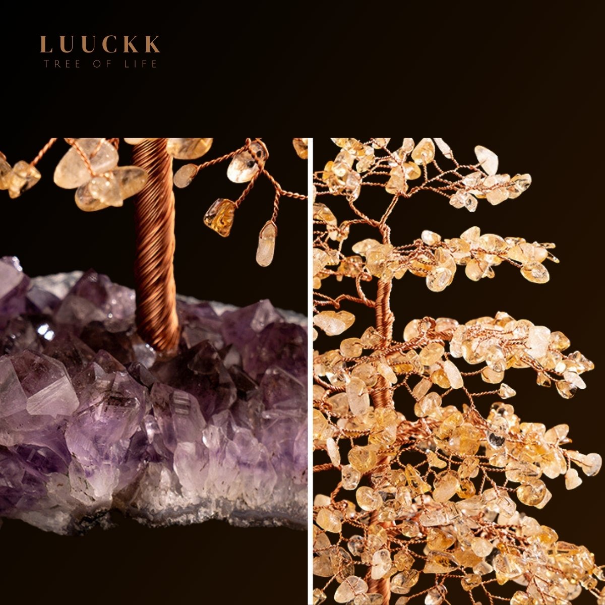 Symbiose - Tree of Life in Citrine with Amethyst Geode